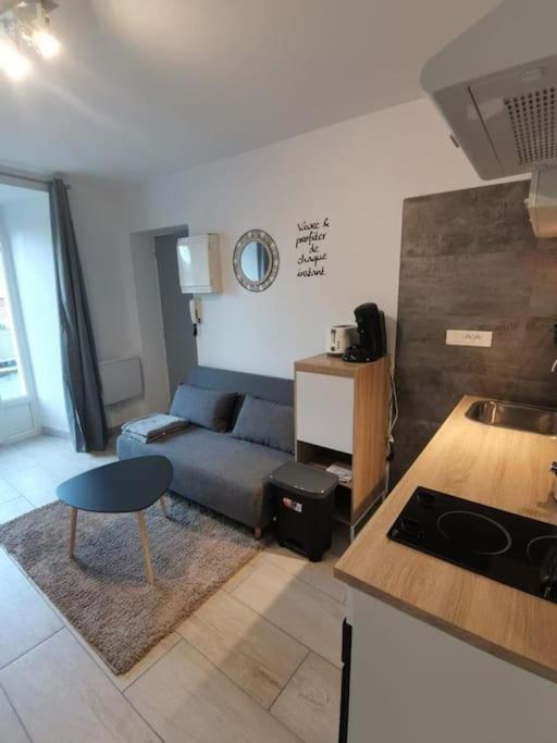 Charmant Appartement Au Calme Saint-Georges-de-Luzençon Zewnętrze zdjęcie